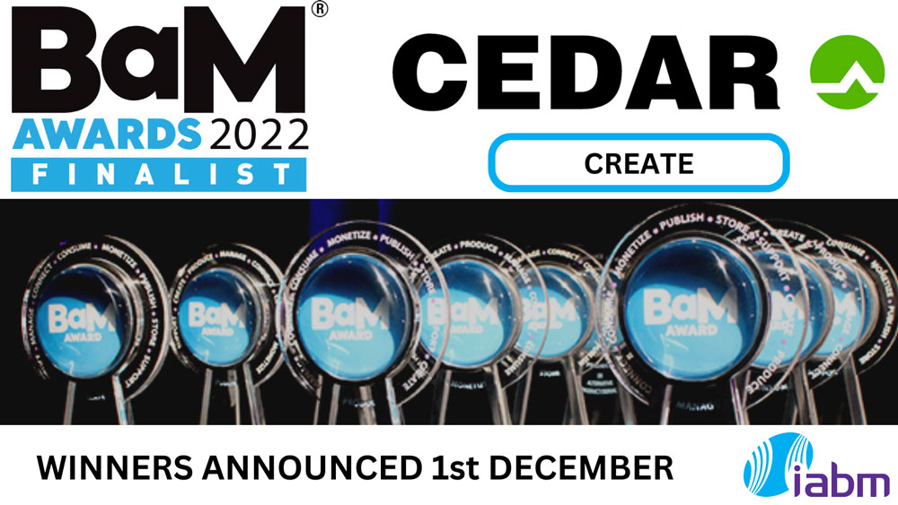 BaM Award finalist 2022 - CEDAR DNS 4 dialogue noise suppressor